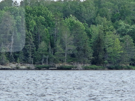 Mini-NWNP-Day 3-June 2023