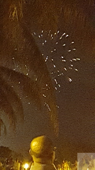 4th-of-july-fireworks-miami-beach_38914330252_o.jpg