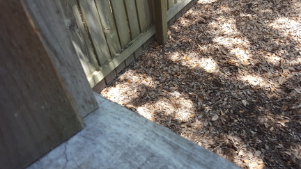 Oak Alley Plantation, Vacherie, LA-July 9 2016