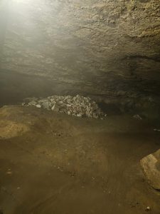 20240517 111044-1500x2000