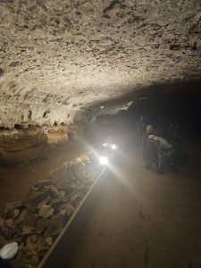 20240517 111541-1500x2000