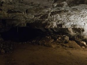 20240517 112908-2000x1500