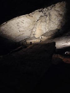 20240517 113000-1500x2000