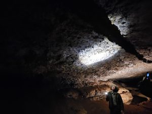 20240517 113443-2000x1500