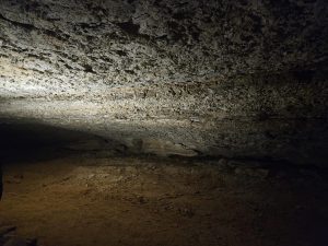 20240517 114106-2000x1500