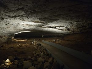 20240517 115507-2000x1500