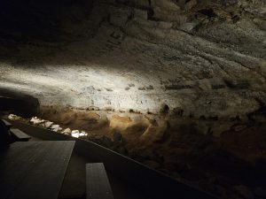 20240517 115518-2000x1500