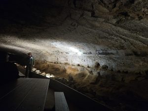 20240517 115950-2000x1500