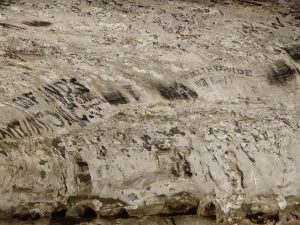 20240517 120011-2000x1500