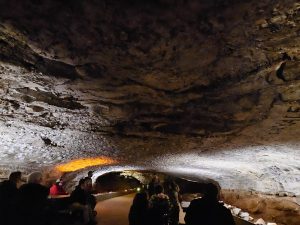 20240517 120119-2000x1500