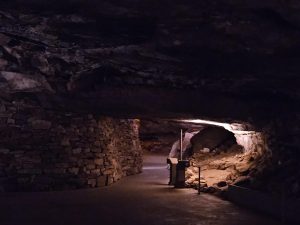 20240517 120529-2000x1500