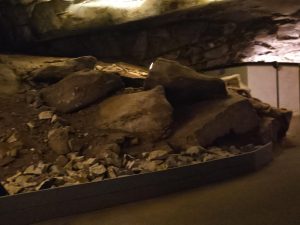 20240517 120535-2000x1500