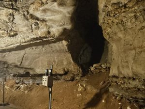 20240517 120616-2000x1500