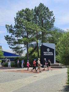 20250726 141909-Copy-1500x2000