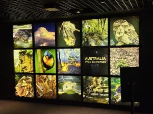 20250726 145153-Copy-2000x1500