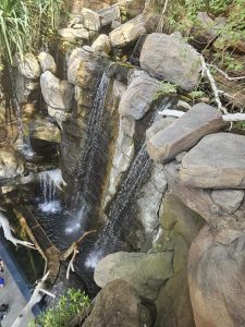 20250726 145407-Copy-1500x2000