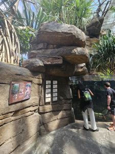 20250726 145623-Copy-1500x2000