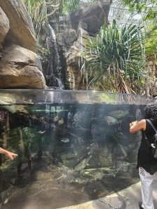 20250726 145736-Copy-1500x2000