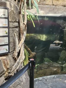 20250726 145904-Copy-1500x2000