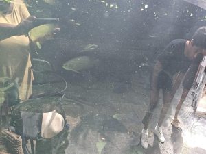 20250726 150042-Copy-2000x1500