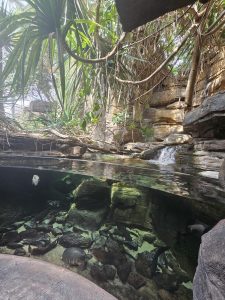 20250726 150630-Copy-1500x2000