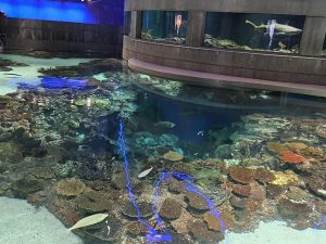 20250726 152053-Copy-2000x1500