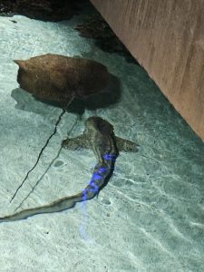 20250726 152210-Copy-1500x2000