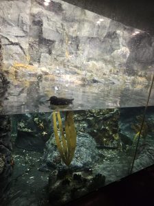 20250726 160642-Copy-1500x2000