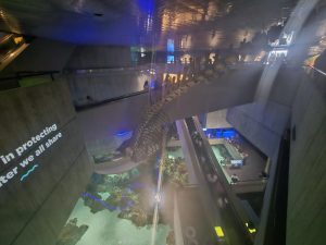 20250726 161735-Copy-2000x1500