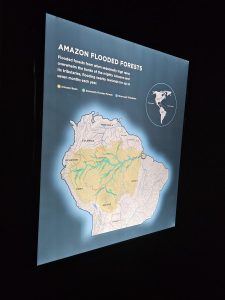 20250726 161824-Copy-1500x2000