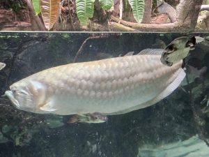 20250726 162002-Copy-2000x1500