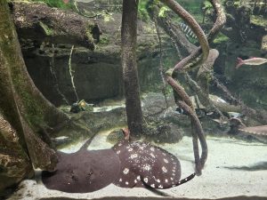 20250726 162255-Copy-2000x1500