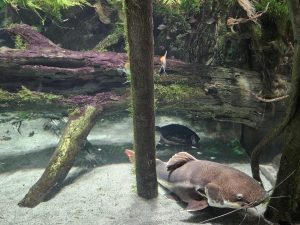 20250726 162502-Copy-2000x1500