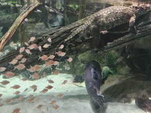 20250726 162707-Copy-2000x1500