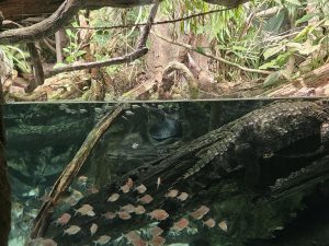 20250726 162718-Copy-2000x1500