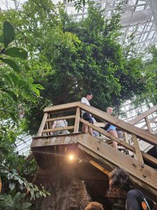 20250726 164030-Copy-1500x2000