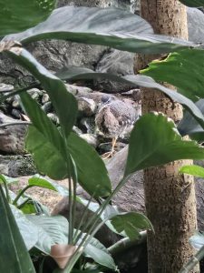 20250726 164213-Copy-1500x2000