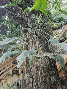 20250726 164352-Copy-1500x2000