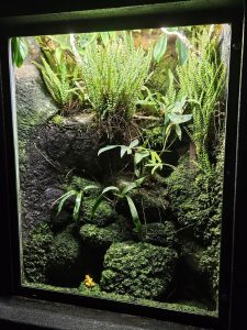 20250726 165129-Copy-1500x2000