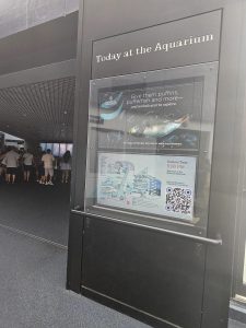 20250726 170006-Copy-1500x2000