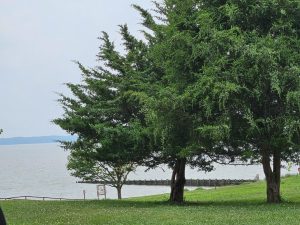 20250806 142642-2000x1500