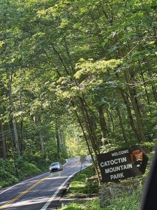 20250828 145819-1500x2000