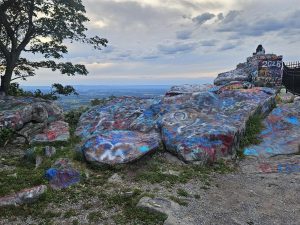 20250828 192600-2000x1500