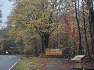 20251029 074954-2000x1500