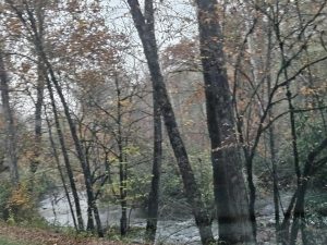 20251029 081014-2000x1500