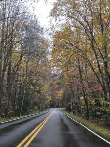 20251029 081615-1500x2000