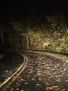 20251031 061904-1500x2000 (1)