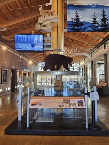 20251031 095013-1500x2000 (1)