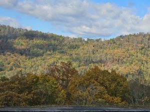 20251031 103938-2000x1500 (1)