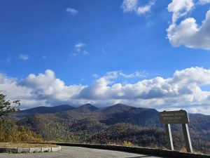 20251031 104946-2000x1500 (1)